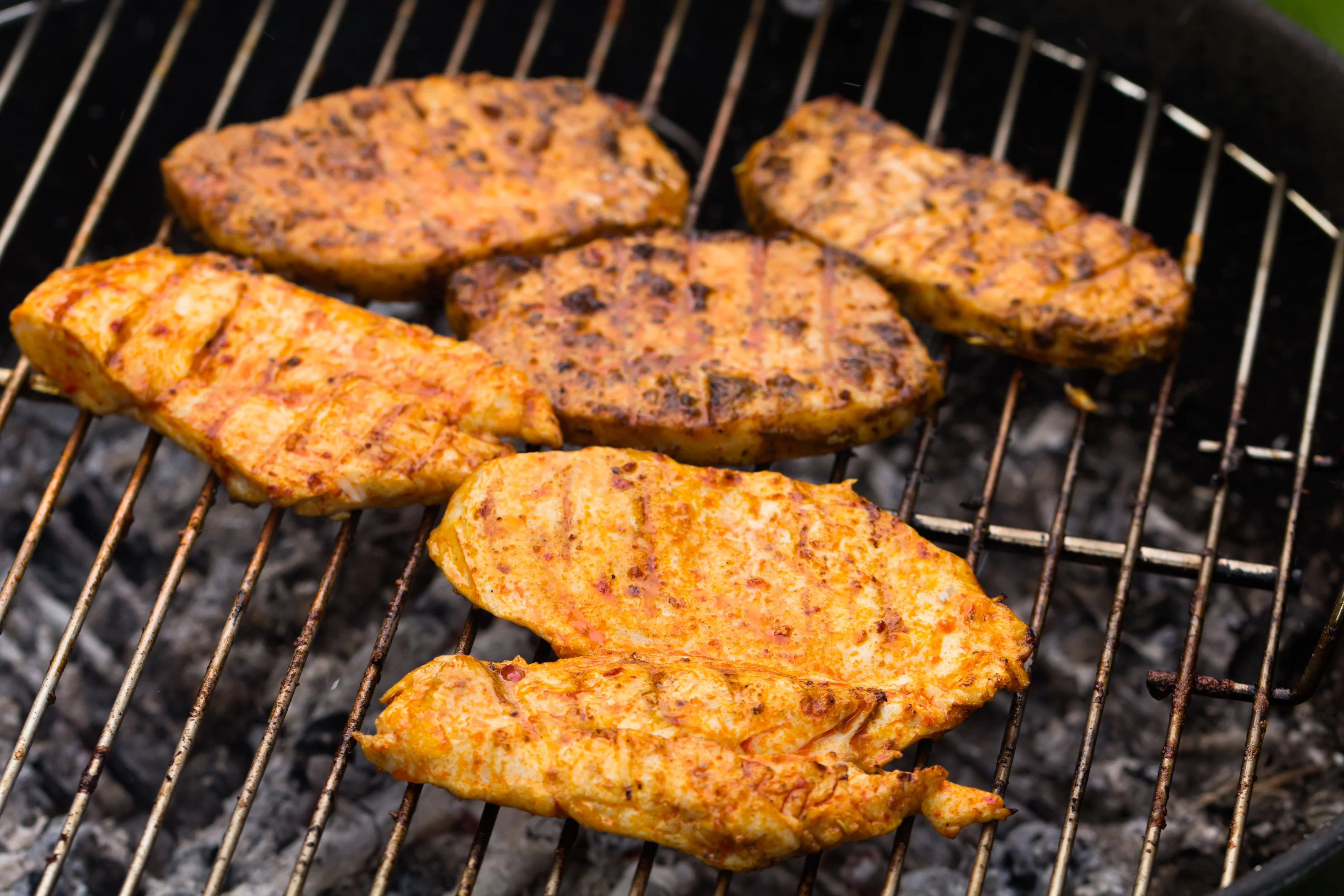 $99 Summer BBQ Special - On Sale! - Image 5