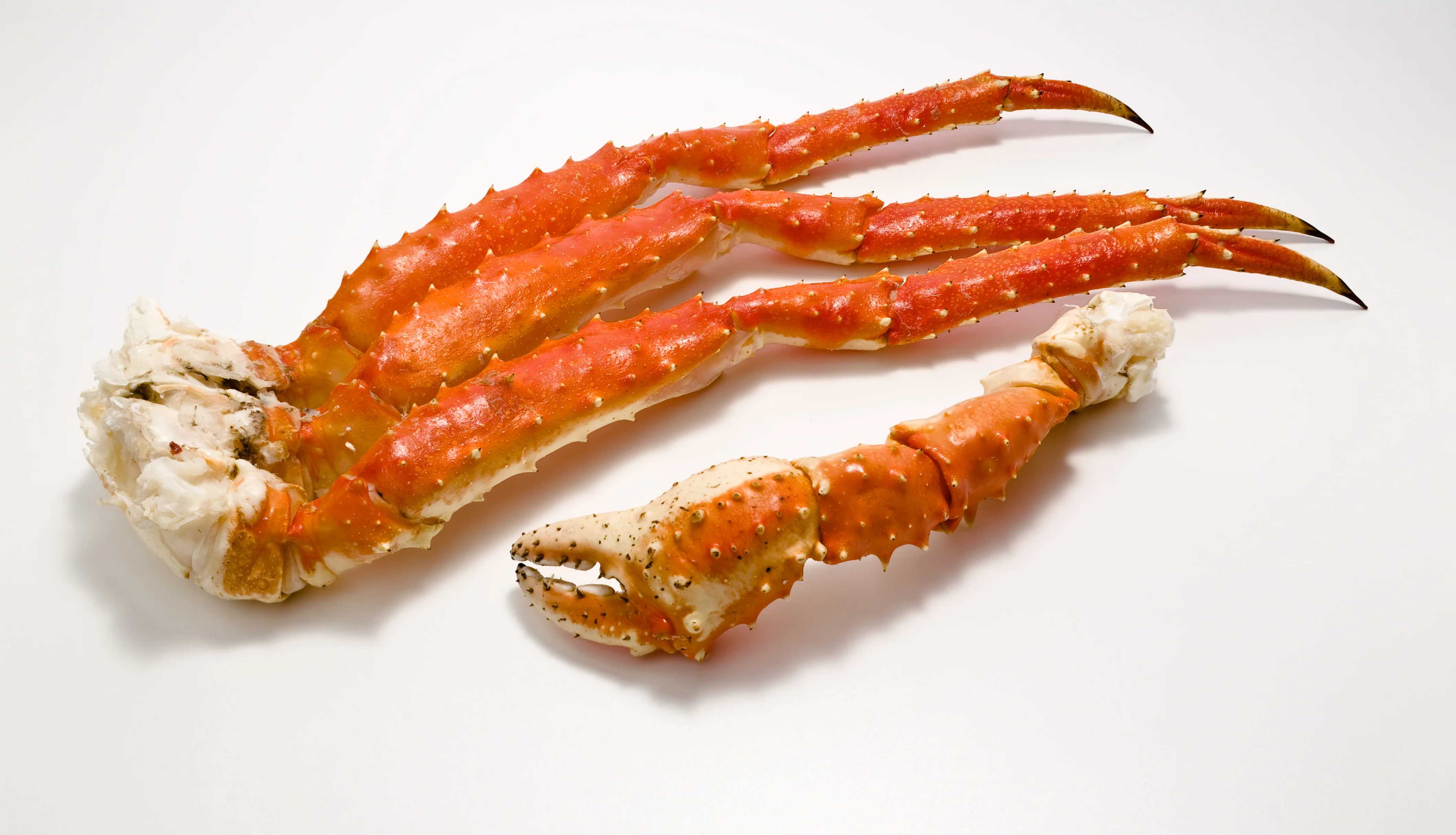 King Crab Legs - Image 3