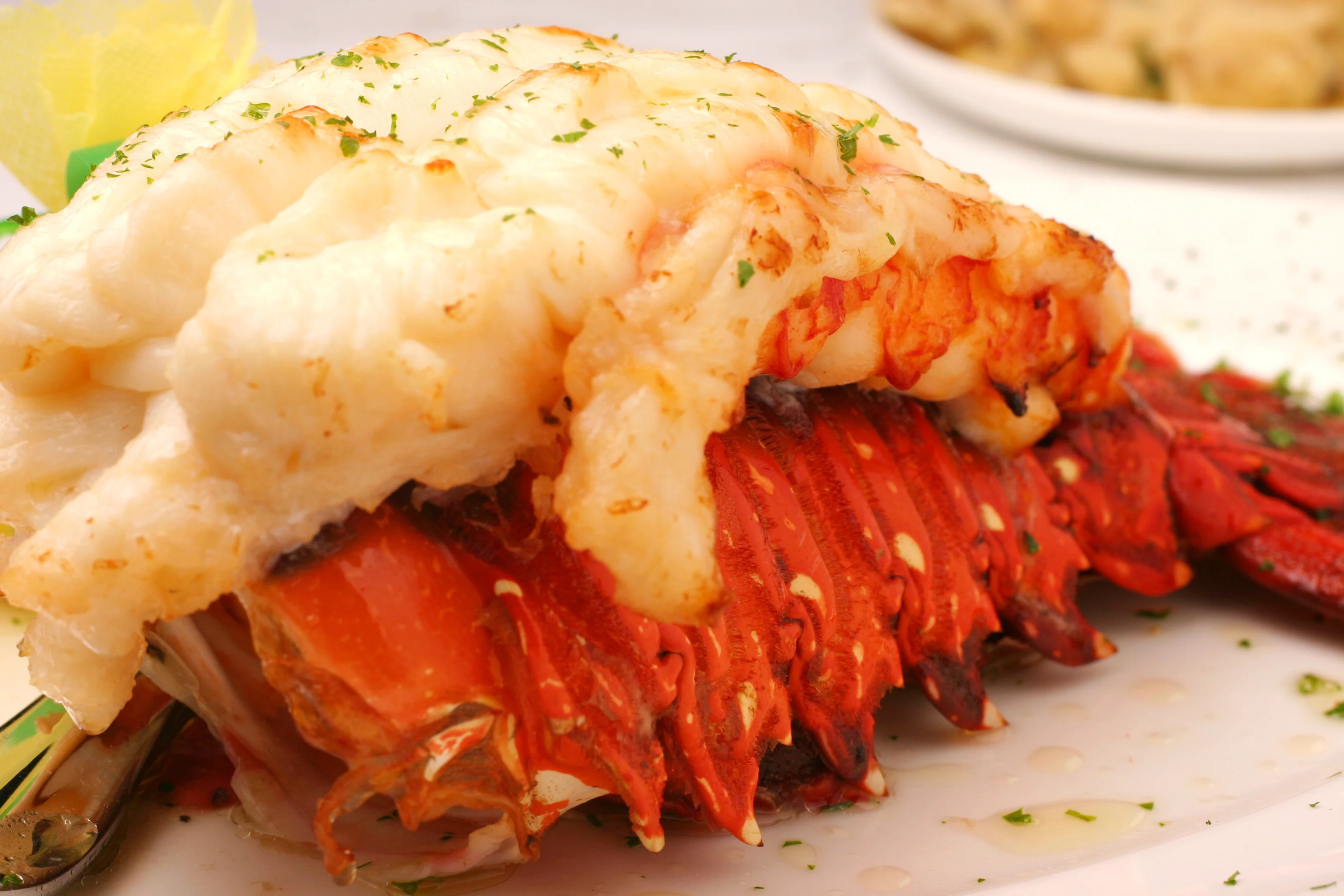 Lobster Tails (7 oz. Warm Water) - Image 4