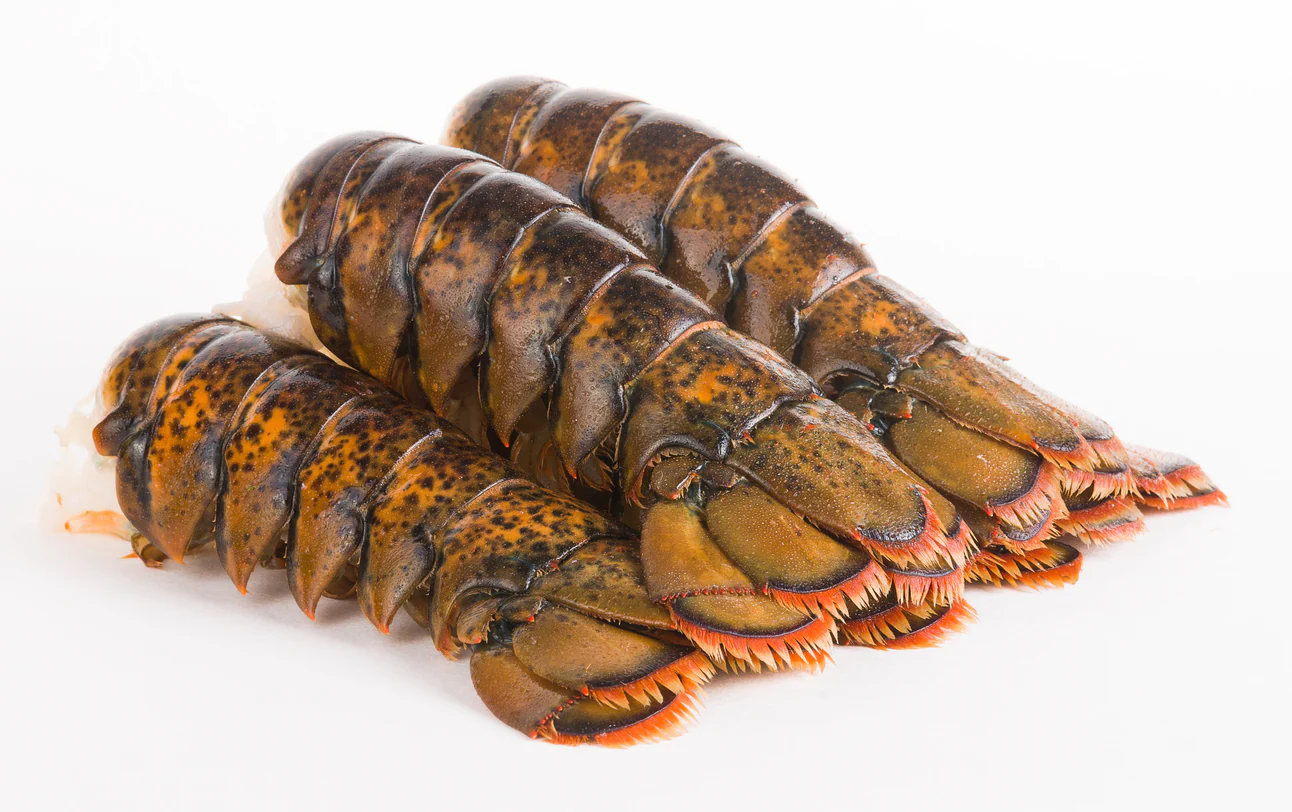 Lobster Sale